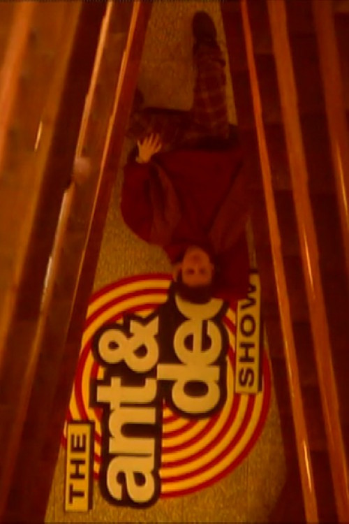 The Ant & Dec Show poster