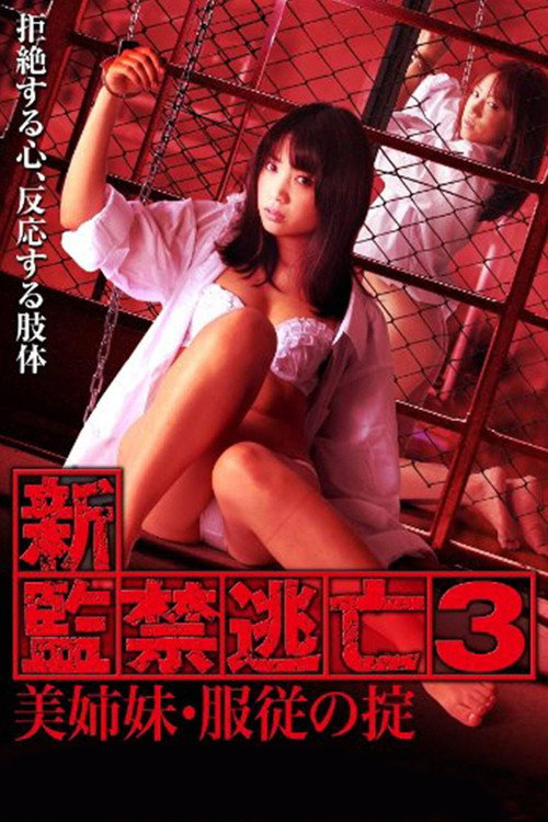 Movie poster for Escape Captivity 3: The Beautiful Sisters' Law of Submission (2010)
