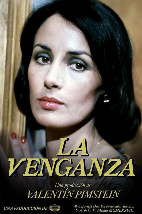 La venganza poster