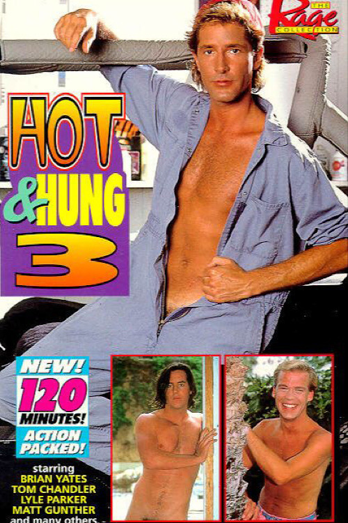 Movie poster for Hot & Hung 3 (1995)