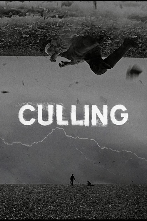 Movie poster for Culling (2021)