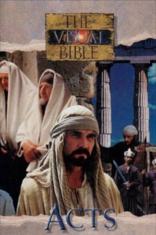 Movie poster for The Visual Bible: Acts (1994)