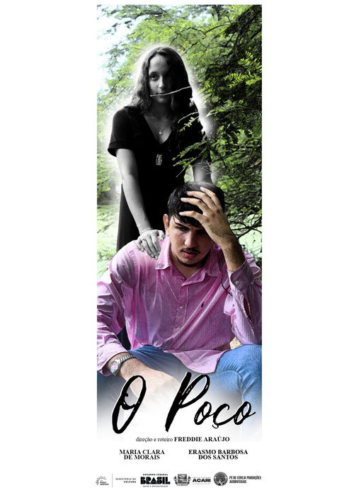 Movie poster for O Poço