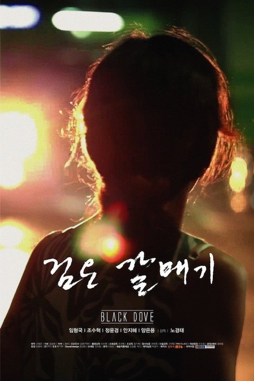 Movie poster for Black Dove (2012)