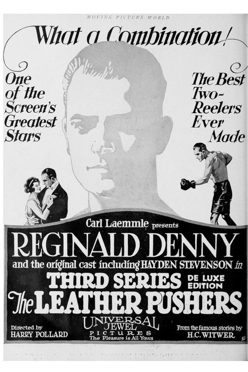 Movie poster for The Widower's Mite (1923)