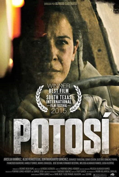 Movie poster for Potosí (2013)