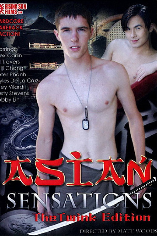 Movie poster for Asian Sensations: The Twink Edition (2009)