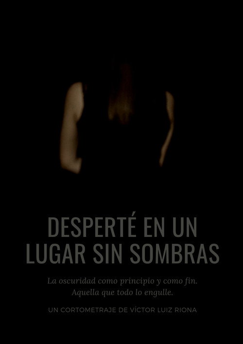 Movie poster for I woke up in a place without shadows