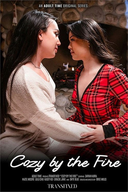 Cozy By The Fire poster