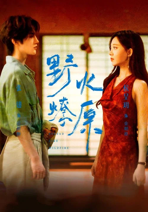 Series poster for 野火燎原 (2026)