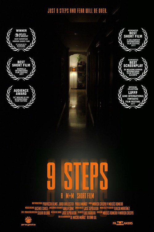 Movie poster for 9 Steps (2018)