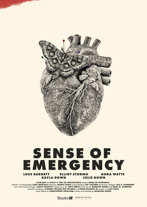 Movie poster for Sense of Emergency