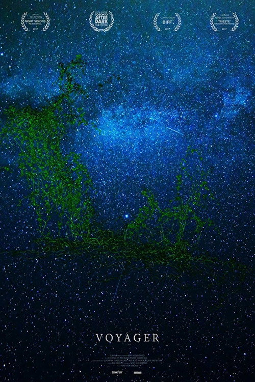 Movie poster for Voyager (2017)
