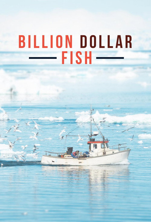 Movie poster for Billion Dollar Fish (2012)