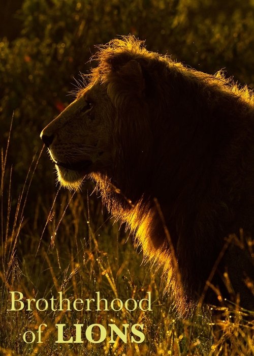 Brotherhood of Lions poster