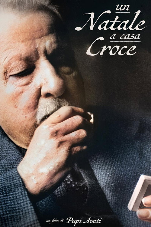 Movie poster for Un Natale a casa Croce (2024)