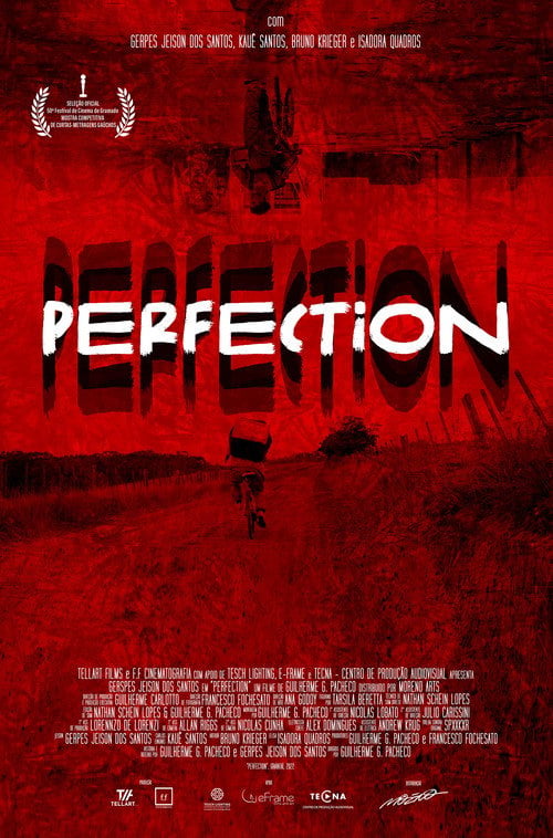 Movie poster for Perfection (2022)