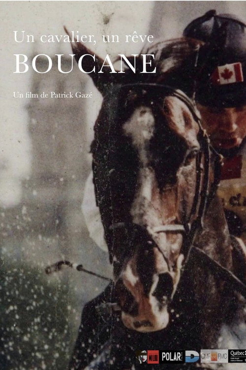 Movie poster for Un cavalier, un rêve, Boucane (2015)