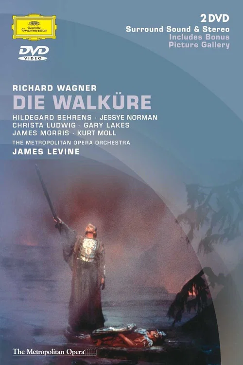 Movie poster for Die Walküre (1990)
