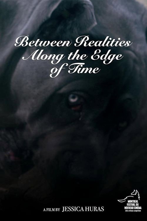 Movie poster for Between Realities Along the Edge of Time (2021)