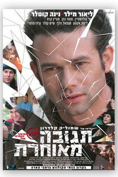 Movie poster for Delayed Reaction (2004)