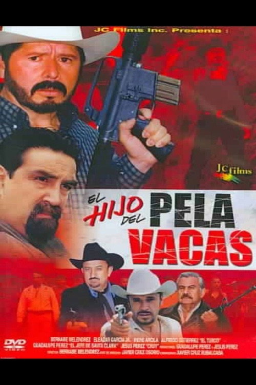 Movie poster for El hijo del pelavacas (2003)