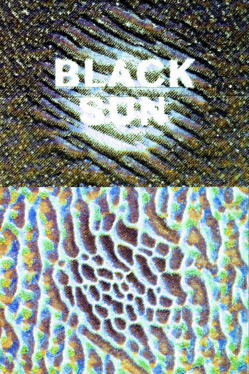 Movie poster for Black Sun Electro Static (2024)