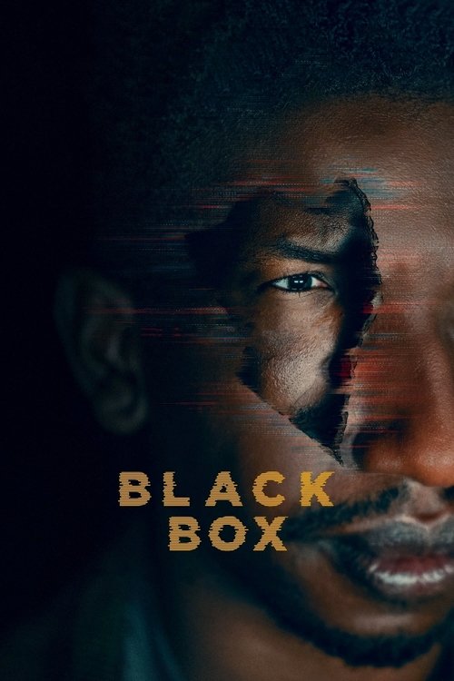 Movie poster for Black Box (2020)