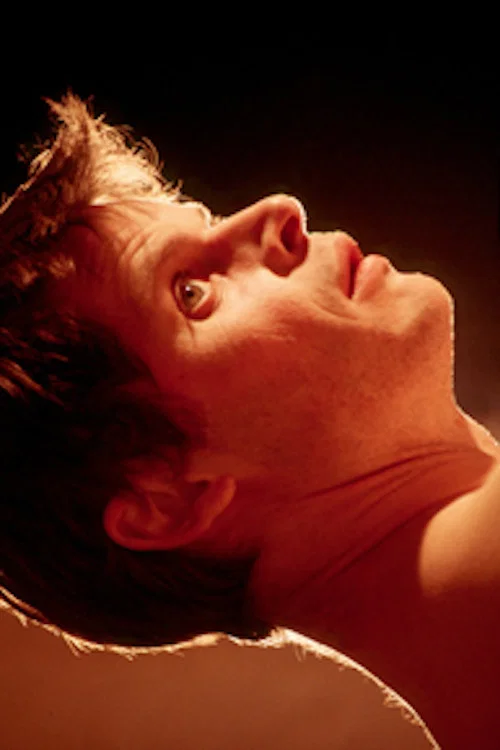 Movie poster for The Victim (2003)
