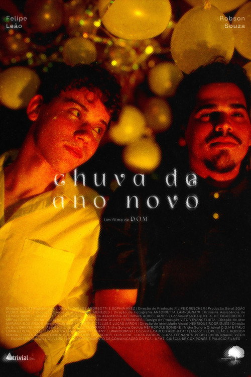 Movie poster for chuva de ano novo (2025)