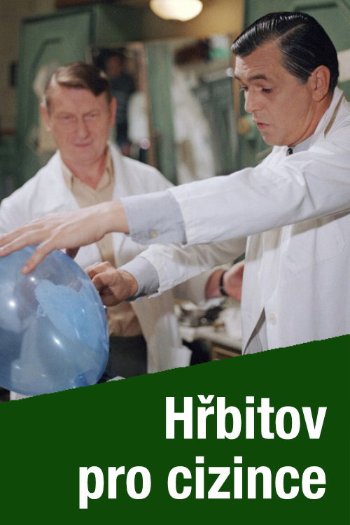 Movie poster for Hřbitov pro cizince (1991)