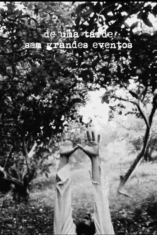 Movie poster for De Uma Tarde Sem Grandes Eventos (2021)