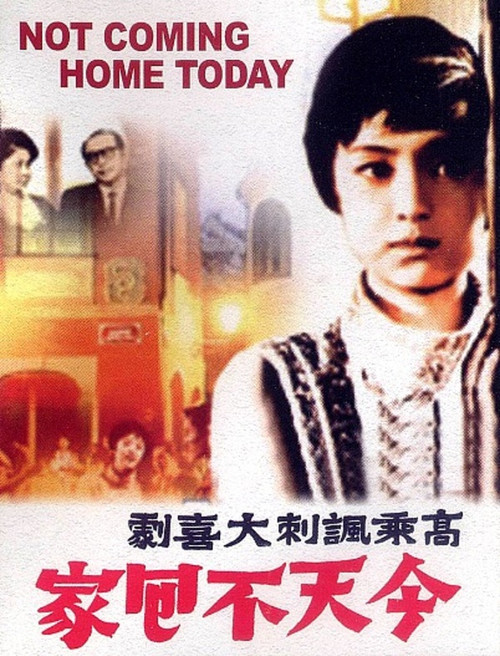 Movie poster for Accidental Trio (1969)