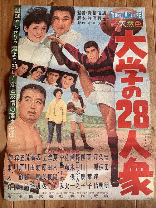Movie poster for The College Ruggers (1959)