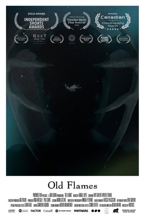 Movie poster for Old Flames (2023)