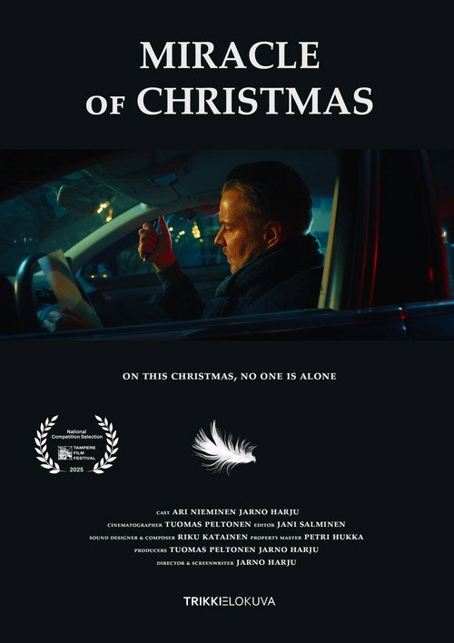 Movie poster for Miracle of Christmas (2025)