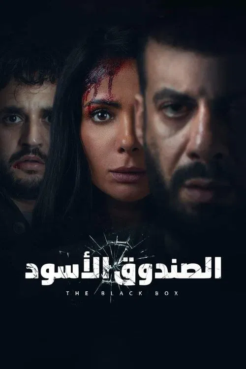 Movie poster for The Black Box (2020)