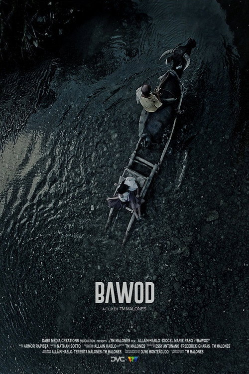Movie poster for Bawod (2017)