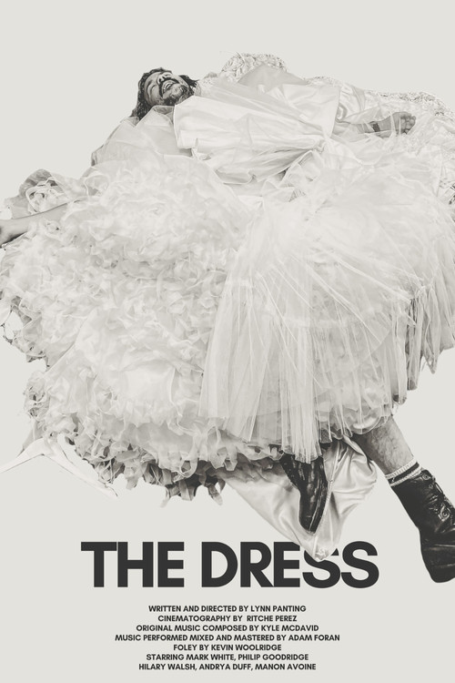 Movie poster for The Dress (2026)
