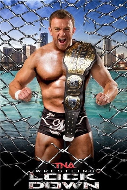 Movie poster for TNA Lockdown 2014 (2014)