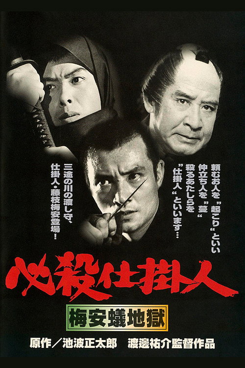 Movie poster for Professional Killers – Assassin's Quarry (1973)