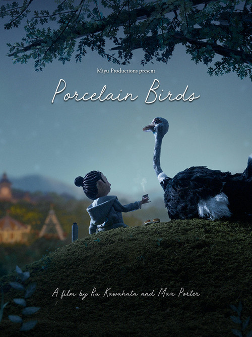 Movie poster for Porcelain Birds