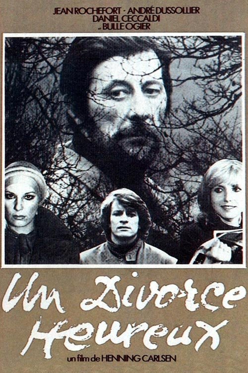 Movie poster for A Happy Divorce (1975)