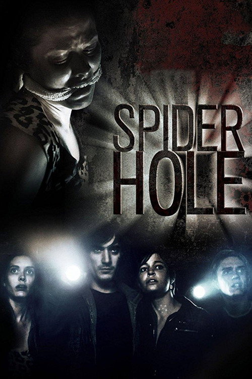Movie poster for Spiderhole (2010)