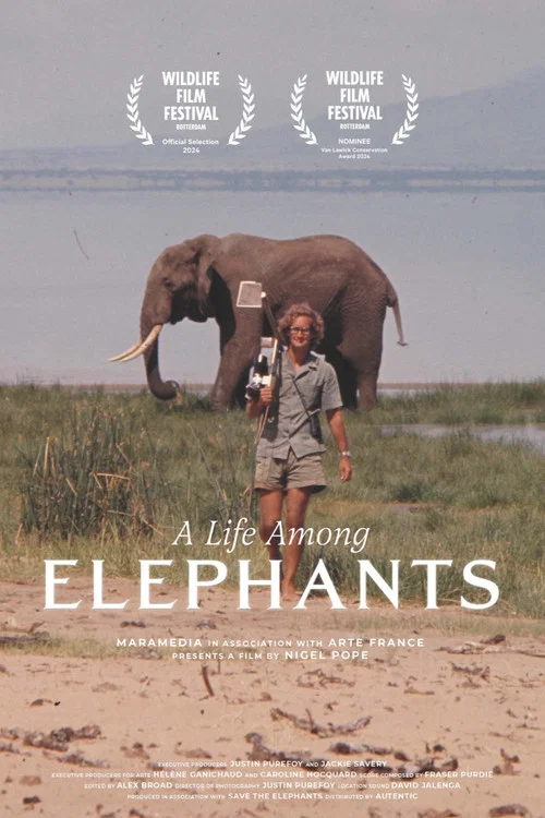 Movie poster for A Life Among Elephants (2024)