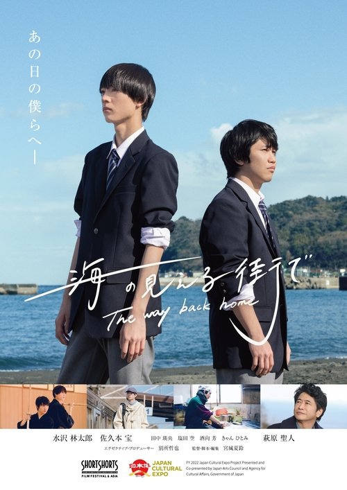 Movie poster for The way back home (2023)
