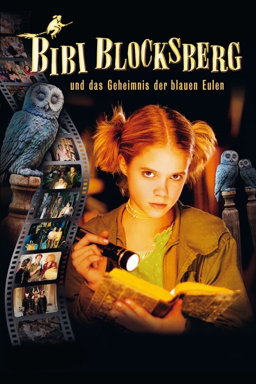 Movie poster for Bibi Blocksberg and the Secret of Blue Owls (2004)