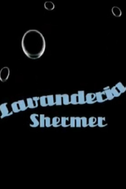 Movie poster for Lavanderia Shermer (2008)