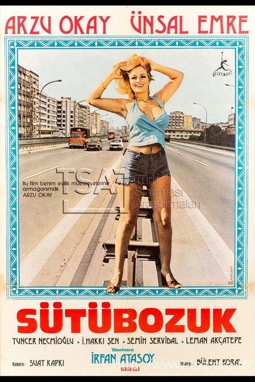 Movie poster for Sütü Bozuk (1976)