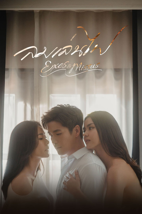 Exes & Missus poster